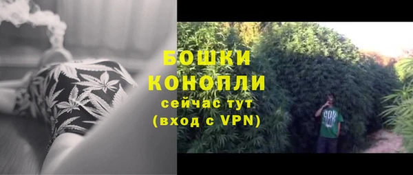 PSILOCYBIN Арсеньев