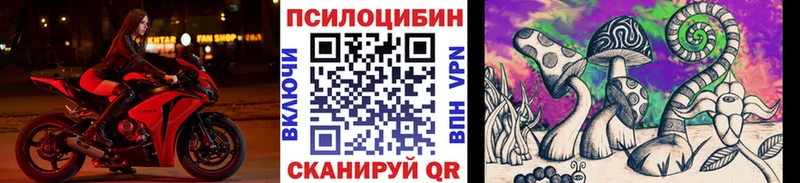 Псилоцибиновые грибы ЛСД  ссылка на мегу ONION  Мытищи  как найти закладки 